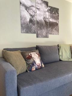 Renovated flat facing Mont Blanc - Combloux - 2
