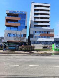 Mălivia Oxygen - 8