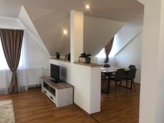 Stefan Apartment - Sibiu - 1
