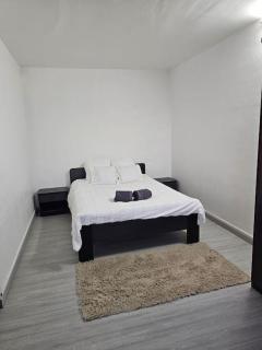 Bel appartement à Choisy-le-roi - Choisy-le-Roi - 4