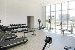 Frank Porter - The Pulse Residences - Dubai - 6