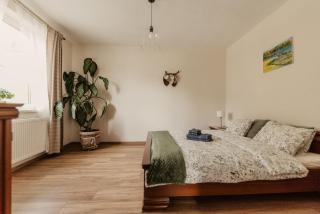 Mizerna Cicha Noclegi Blisko Natury - Mizerna - 1