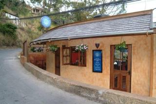 The African Lily - 3