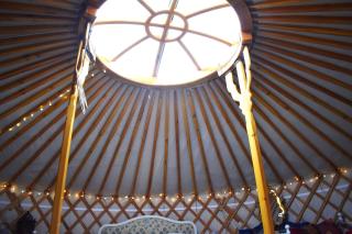 The Yurt in Cornish woods a Glamping experience - 3