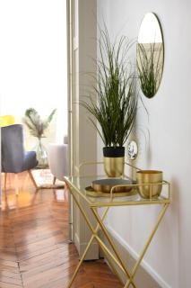 Grand Appartement Hyper Centre Castres 5 Chambres 10 personnes - Castres - 2