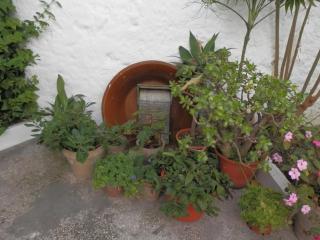 Casa solariega en centro de Vejer - 4