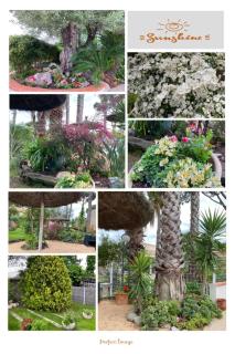 ARGELES sur MER APPT RDC CADAQUES TOUT CONFORT JARDIN PISCINE PARKING WIFI - 1
