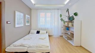 2BR APT with free garage parking, close to the historic centre - Bratislava - 6