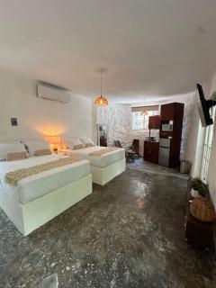 Jungle&Beach Studios - Playa del Carmen - 0