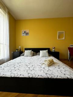 Extralarge Queen Room in the Heart of Bratislava with Terrace - Bratislava - 6