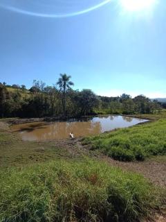 Sítio São Sebastião em Monte Sião-MG - Monte Sião - 9