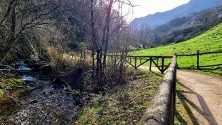 Cal Gallo (Vivienda Vacacional) - 8