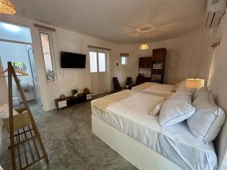 Jungle&Beach Studios - Playa del Carmen - 9