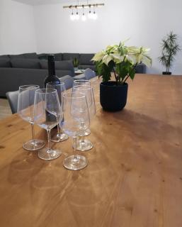 Ten Velde - vakantiewoning 12 personen - sauna - bubbelbad - 5