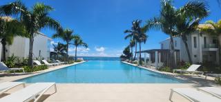 White Palm - 9