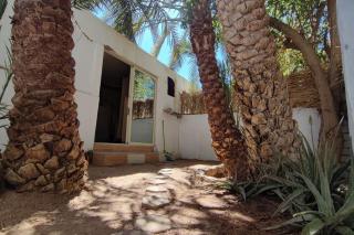 Palm House - Dahab - 0