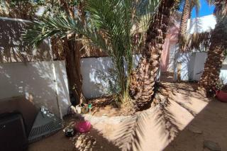 Palm House - Dahab - 9