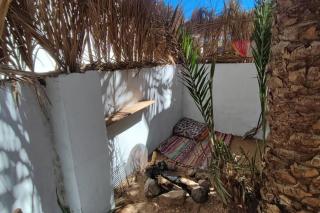 Palm House - Dahab - 8
