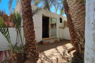 Palm House - Dahab - 6