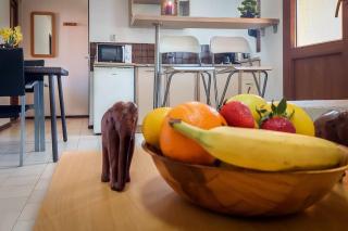 Poolside compact family cottage Bella - 2