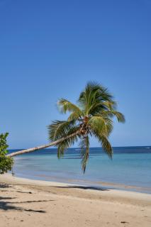 Empyrean Tropical Wellness Portillo - Las Terrenas - 4