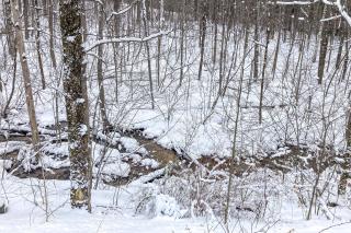 Timberbrook - Dorset - 8