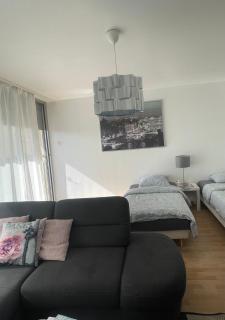 Bel Appartement near Bâle Mulhouse Airport - 7