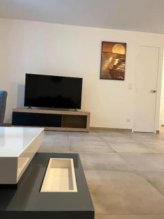 Appartement proche de Genève 2 - Collonges-sous-Salève - 9