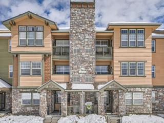 1BR Condo near Dove Valley - 1