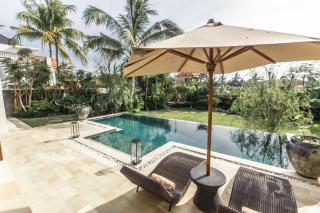 Spacious and Luxury Modern Villa with Huge Garden and Pool - Ubud - 9