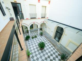 Amplio Apto Centro vistas Torneria fjhomefj - Jerez de la Frontera - 5