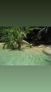 Private Villa hot Jacuzzi, Pool, Cocles beach Puerto Viejo - Cocles - 0