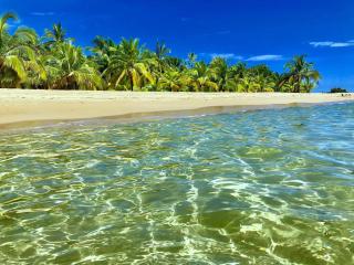 Private Villa hot Jacuzzi, Pool, Cocles beach Puerto Viejo - Cocles - 8
