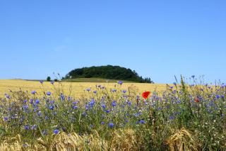 Villa Meernixe Ferienwohnung Nr 10 - 3