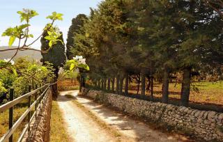 Il Grillo - Chiaramonte Gulfi - 3