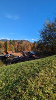 Ferienwohnungen Matheisl inkl. Chiemgaukarte - Ruhpolding - 5
