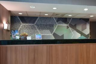 SpringHill Suites by Marriott Charlotte / Concord Mills Speedway - Concord - 8