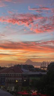 Penthouse Happiness - 8