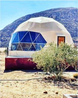 Khaled Rum Camp - Disah - 4