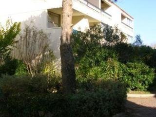 Studio en Rez-de-Chaussée avec Terrasse Spacieuse et Parking Privé à Marseillan - FR-1-326-814 - 8