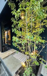 kaede楓 - Osaka - 9