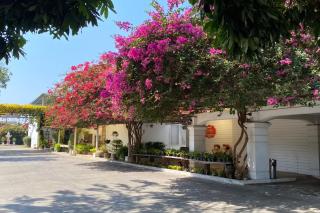 Delio Boutique Hotel - Udon Thani - 8