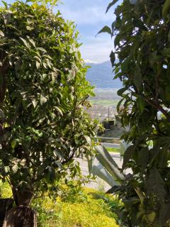 Sete Fontes - Agarone Holiday Nest - Agarone - 6