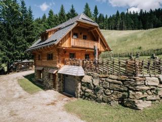 Webertonihütte Modern retreat - 0