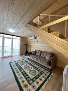 Time House - Kokotauri - 1