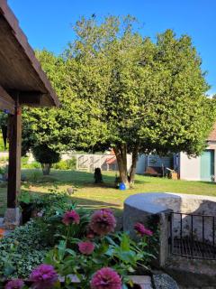 La petite parenthèse - Muides-sur-Loire - 2