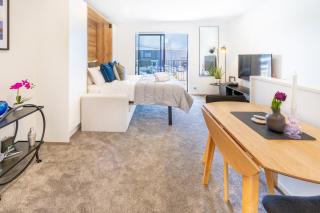 Central City Charm: Pet-Friendly Studio - Christchurch - 9