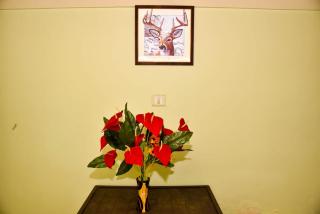 Phoenix View Stay Ooty - Ooty - 7