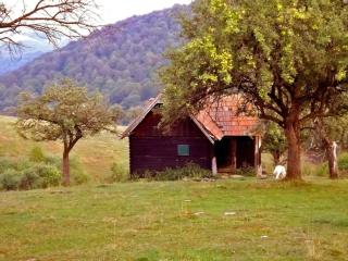 Ferienhaus in Sibiel mit Grill und Garten - Fîntînele - 7