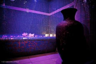 Le Clos des Thermes Suites de Luxe avec wellness privatif - Chaudfontaine - 1